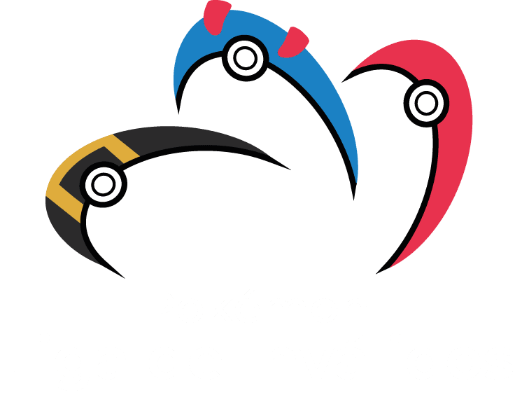 Pokémon Liga de Inválidos